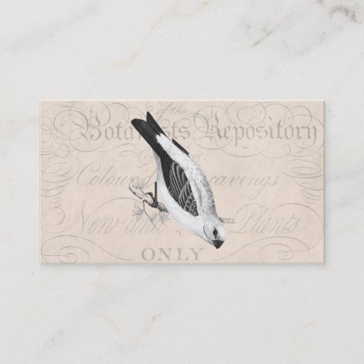 Customizable Vintage Pine Grossbeak Song Bird Illustration Business Cards