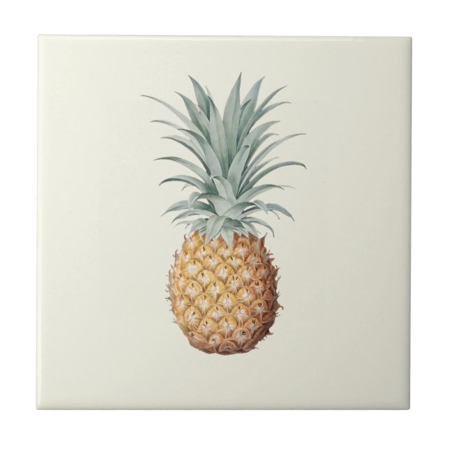 Vintage Pineapple Cream Ceramic Tile (Front)