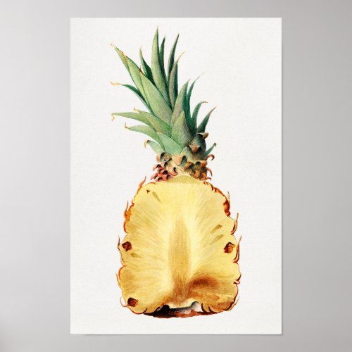 Vintage Pineapple half watercolor illustration Poster