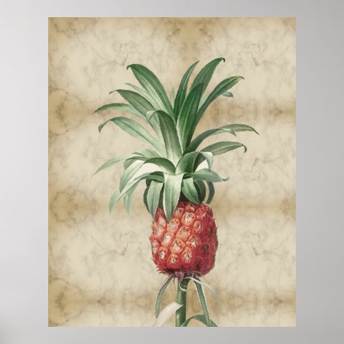 Vintage Pineapple  Tropical Elegant Marble Poster