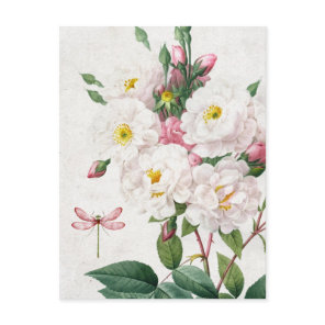 Vintage Pink and White Roses and Dragonfly Postcard