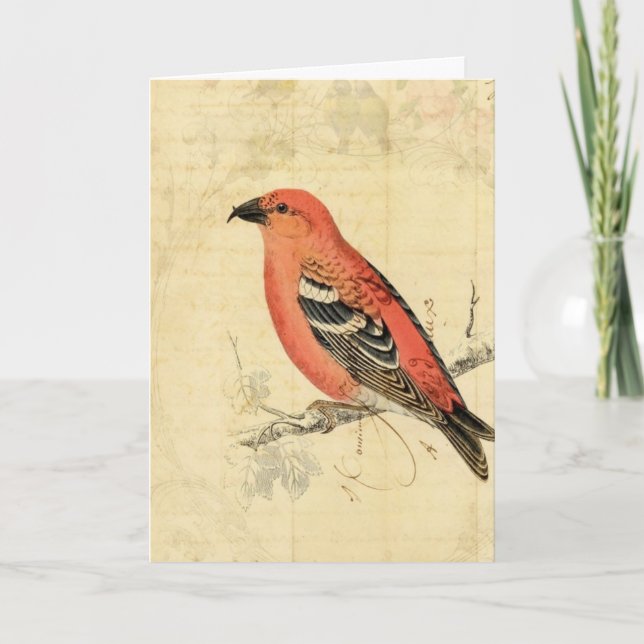 Vintage Pink Bird Card (Front)