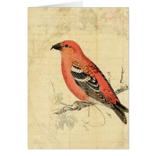 Vintage Pink Bird Cards (Front)