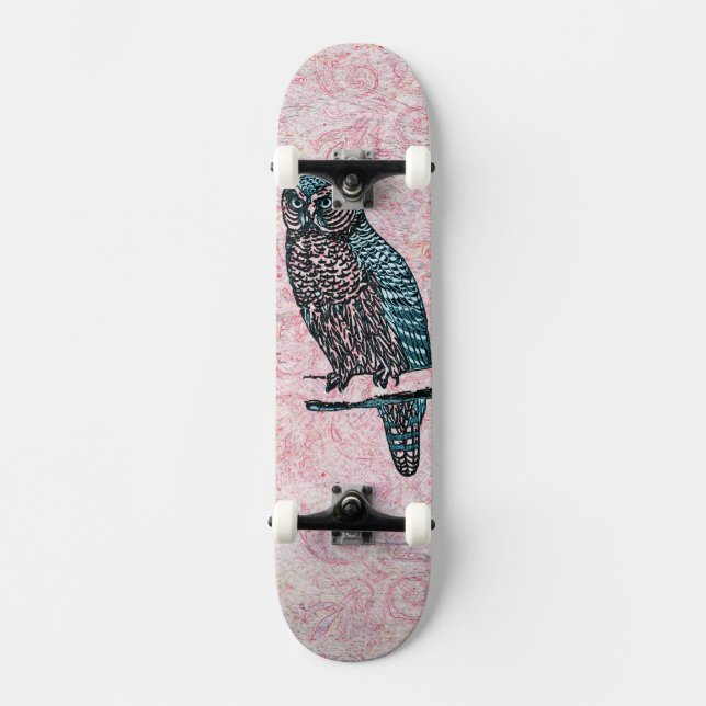 Vintage Pink Blue Cute Owl Skateboard Deck (Front)