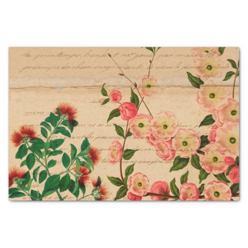 Vintage Pink Botanical Ephemera Tissue Paper