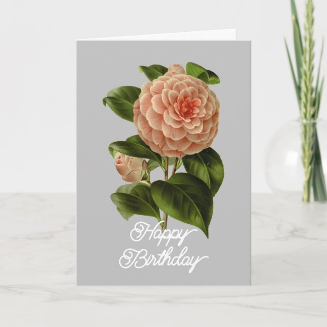 Vintage Pink Camellia Albino Botti Birthday Card (Front)