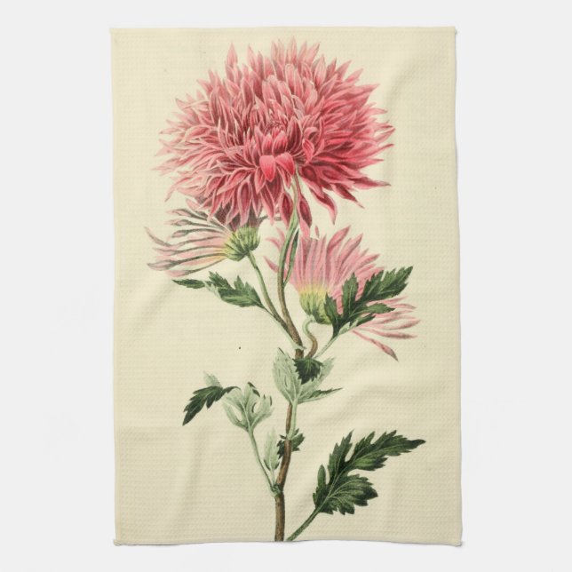 Vintage Pink Chrysanthemum Flower Towel (Vertical)