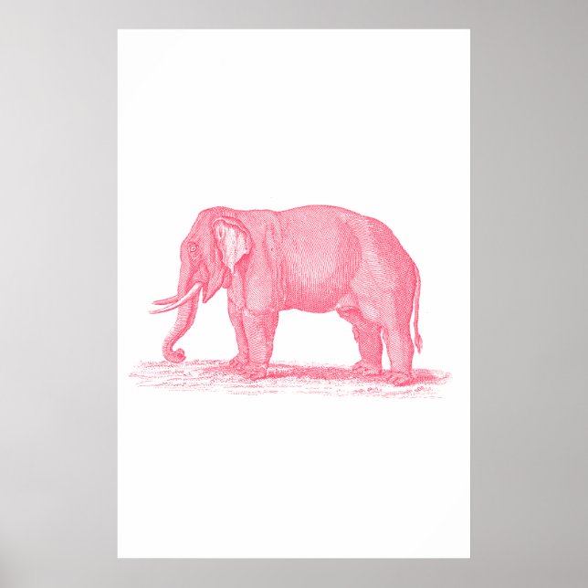 Vintage Pink Elephant 1800s Elephants Illustration Poster (Front)