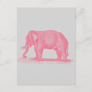Vintage Pink Elephant on Gray 1800s Elephants Postcard