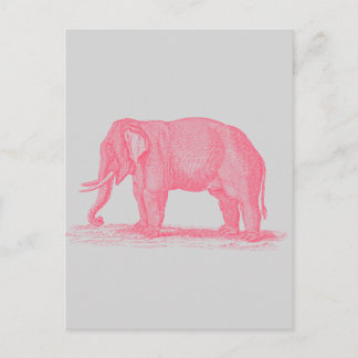 Vintage Pink Elephant on Gray 1800s Elephants Postcard