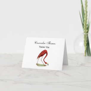 Vintage Pink Flamingo #1 Letterpress Thank You Card