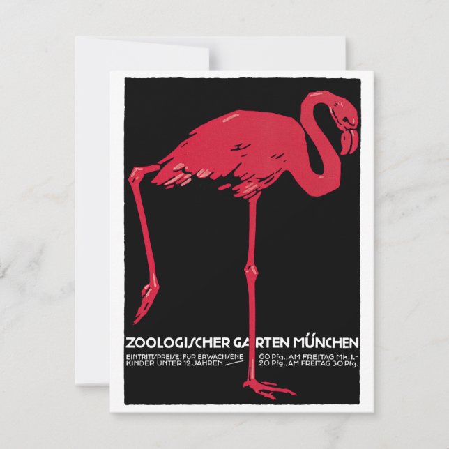 Vintage Pink Flamingo Bird at Germany Munich Zoo (Front)