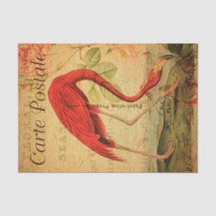 Vintage Pink flamingo Floral French Carte Postale Tissue Paper