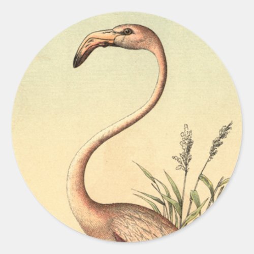 Vintage Pink Flamingo Illustration Classic Round Sticker