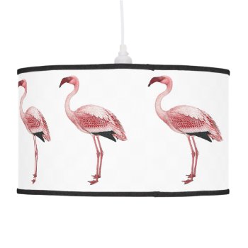 Vintage Pink Flamingo Painting Ceiling Lamp by BluePress at Zazzle