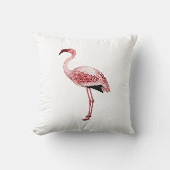 Vintage Pink Flamingo Painting Throw Pillow by BluePress at Zazzle