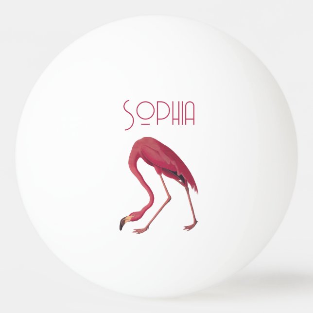 Vintage Pink Flamingo Ping Pong Ball (Front)
