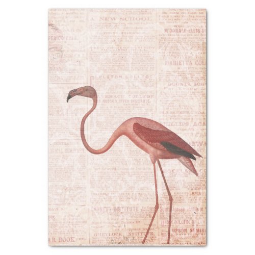 Vintage Pink Flamingo Tissue Paper