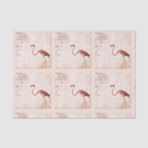 Vintage Pink Flamingo Tissue Paper