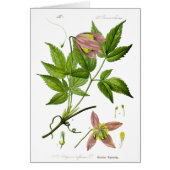 Vintage Pink Flower (Front)