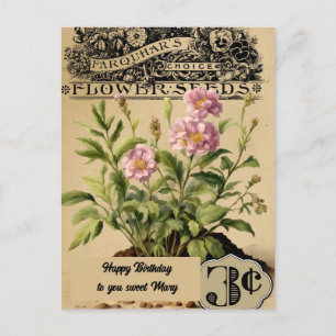 Vintage Pink Flowers Three cents Birthday Postcard