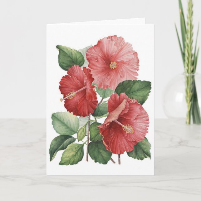 Vintage Pink Hibiscus, Card (Front)