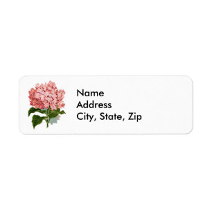 Vintage Pink Hydrangea Botanical Illustration Label