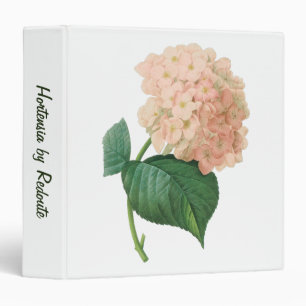 Vintage Pink Hydrangea Hortensia Flower by Redoute Binder