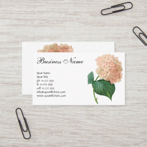 Vintage Pink Hydrangea Hortensia Flower by Redoute Business Card