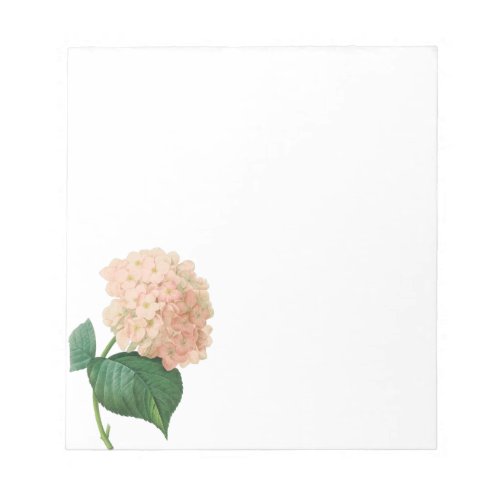 Vintage Pink Hydrangea Hortensia Flower by Redoute Notepad