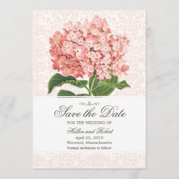 Vintage Pink Hydrangea Save The Date by jardinsecret at Zazzle