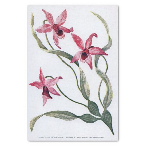 Vintage Pink Orchid Floral Illustration Tissue Paper