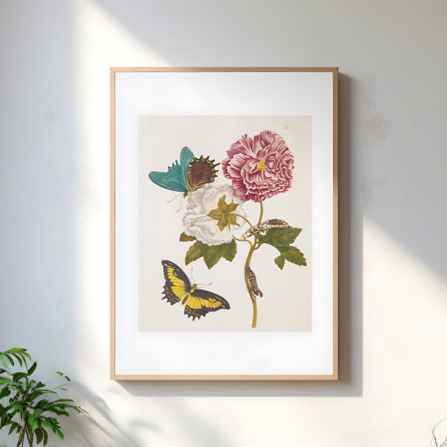 Vintage Pink Peony Flower, Floral Illustration Poster (Creator Uploaded)