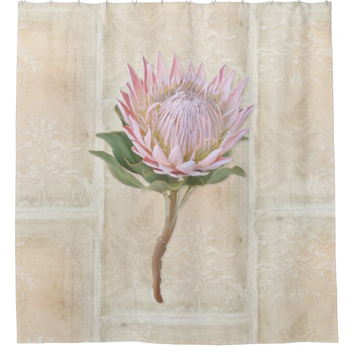 Vintage Pink Protea Flower Fern Damask Tan Pattern Shower Curtain