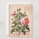 Vintage Pink Rose 75th Birthday Celebration 2 Invitation<br><div class="desc">Customizable 75th Birthday Celebration Invitation with Faux Vintage Botanical Watercolor of pink rose inspired by Pierre-Joseph Redouté. You can easily change text (color,  font,  size and position) by clicking the personalize or customize button.</div>