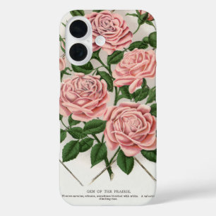 Vintage Pink Rose Botanical Cottagecore Art iPhone 16 Case