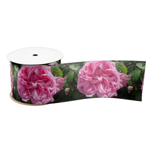Vintage Pink Rose Cabbage Victorian Roses  Satin Ribbon