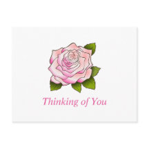 Vintage Pink Rose Drawing Custom Postcard