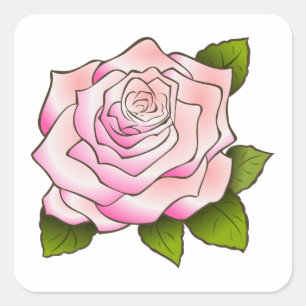 Vintage Pink Rose Drawing Square Sticker