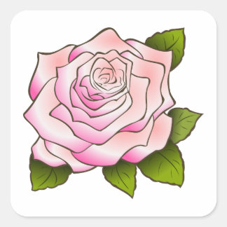 Vintage Pink Rose Drawing Square Sticker