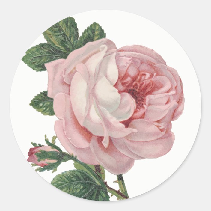 Vintage Pink Rose Flower Shabby Chic Wedding Classic Round