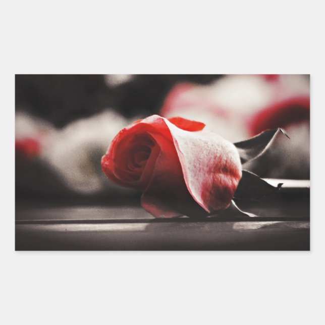 Vintage Pink Rose Flowers Rectangular Sticker (Front)