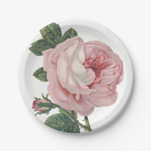 Vintage Pink Rose Flowers Shabby Chic Wedding Paper Plates