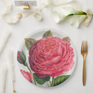 Vintage Pink Rose Illustration Paper Plates