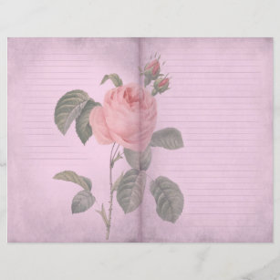 Beautiful Old Red Roses Shabby Chic Floral Socks | Zazzle