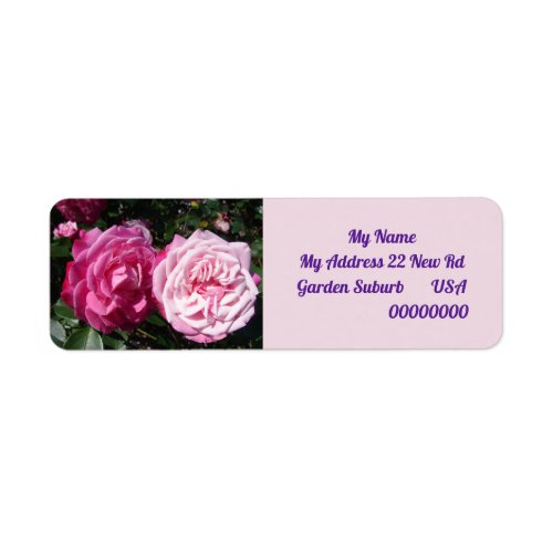 Vintage Pink Rose photo Return Address Labels