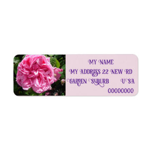 Vintage Pink Rose Rose photo Return Address Labels