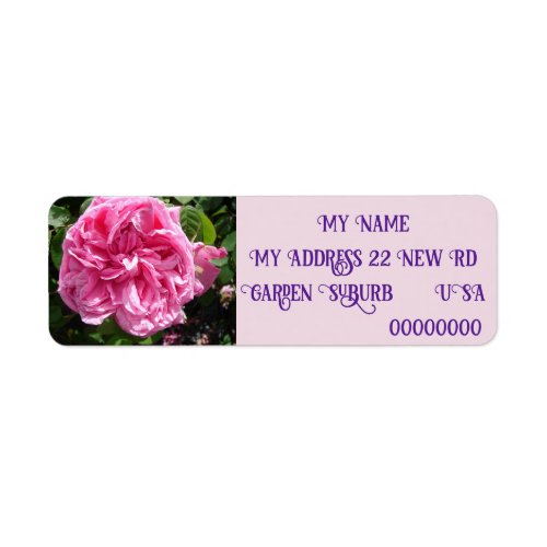 Vintage Pink Rose Rose photo Return Address Labels