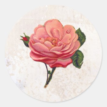 Vintage Pink Rose Shabby Chic Print Classic Round Sticker by Kinder_Kleider at Zazzle
