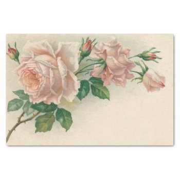 Vintage Pink Rose Tissue Paper by KraftyKays at Zazzle